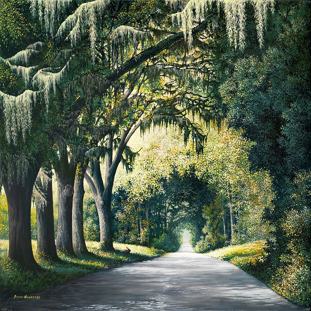 Down the Rabbit Hole Square art print by Bruce Nawrocke for $57.95 CAD