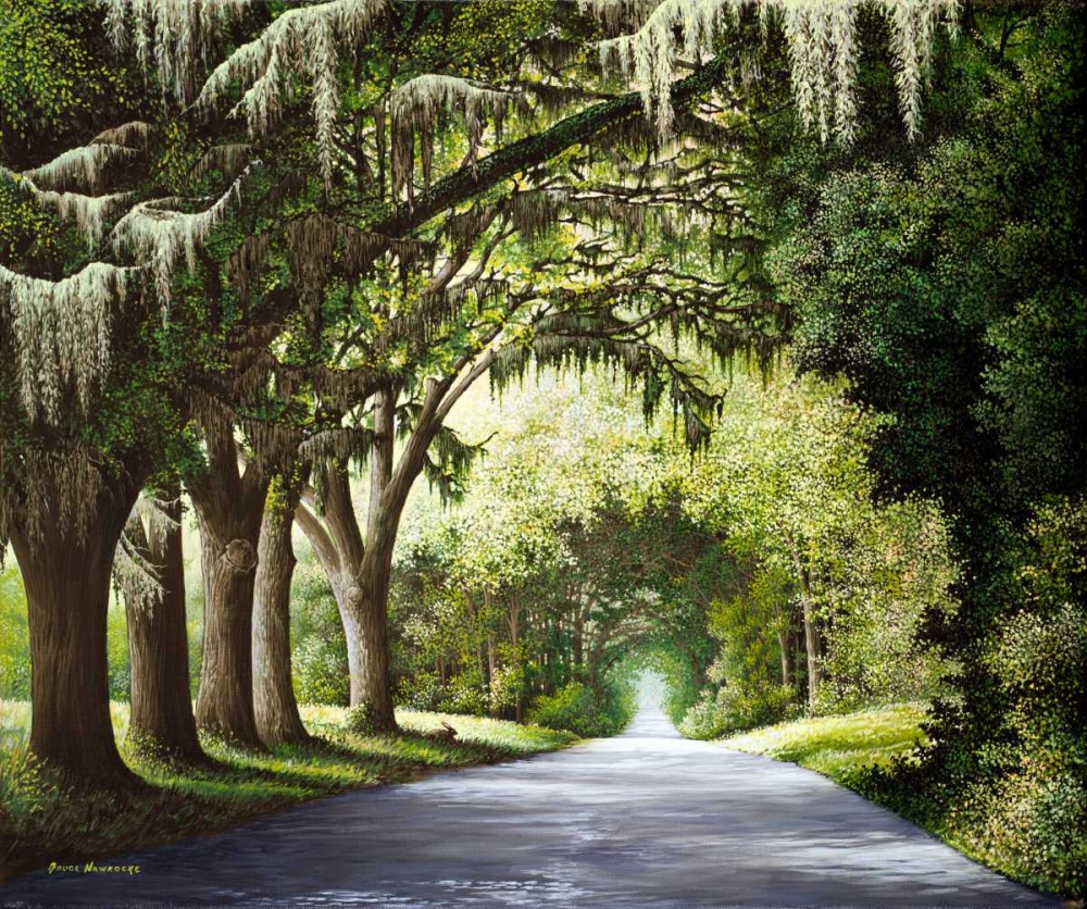 Down The Rabbit Hole art print by Bruce Nawrocke for $57.95 CAD