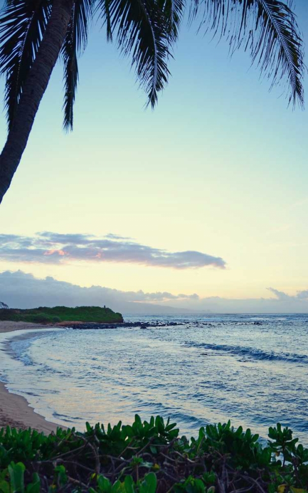 Under the Palm art print by Bruce Nawrocke for $57.95 CAD