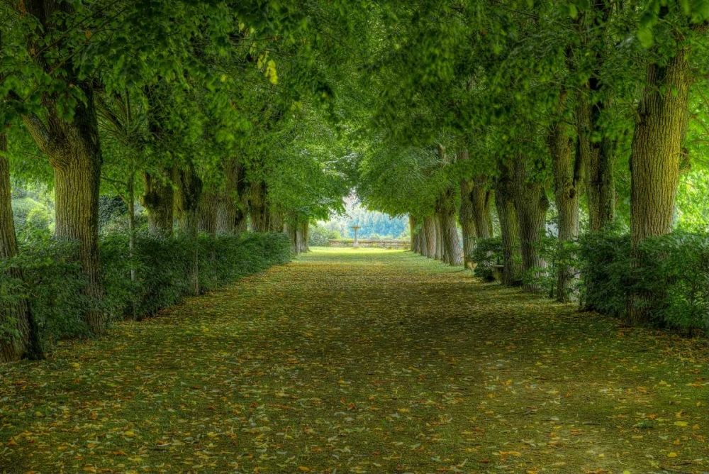 French Gardens art print by Shelley Lake for $57.95 CAD