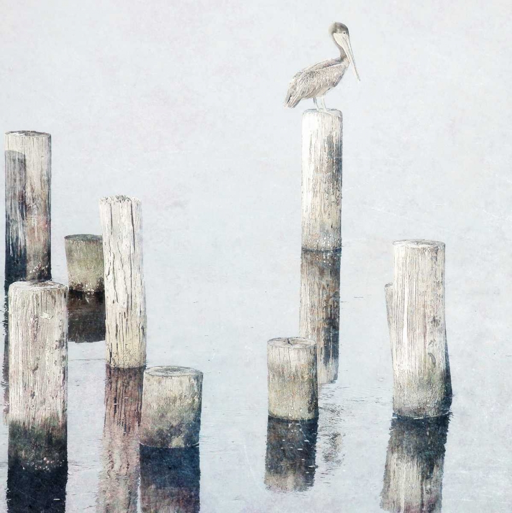 Perched Pelican art print by Bruce Nawrocke for $57.95 CAD