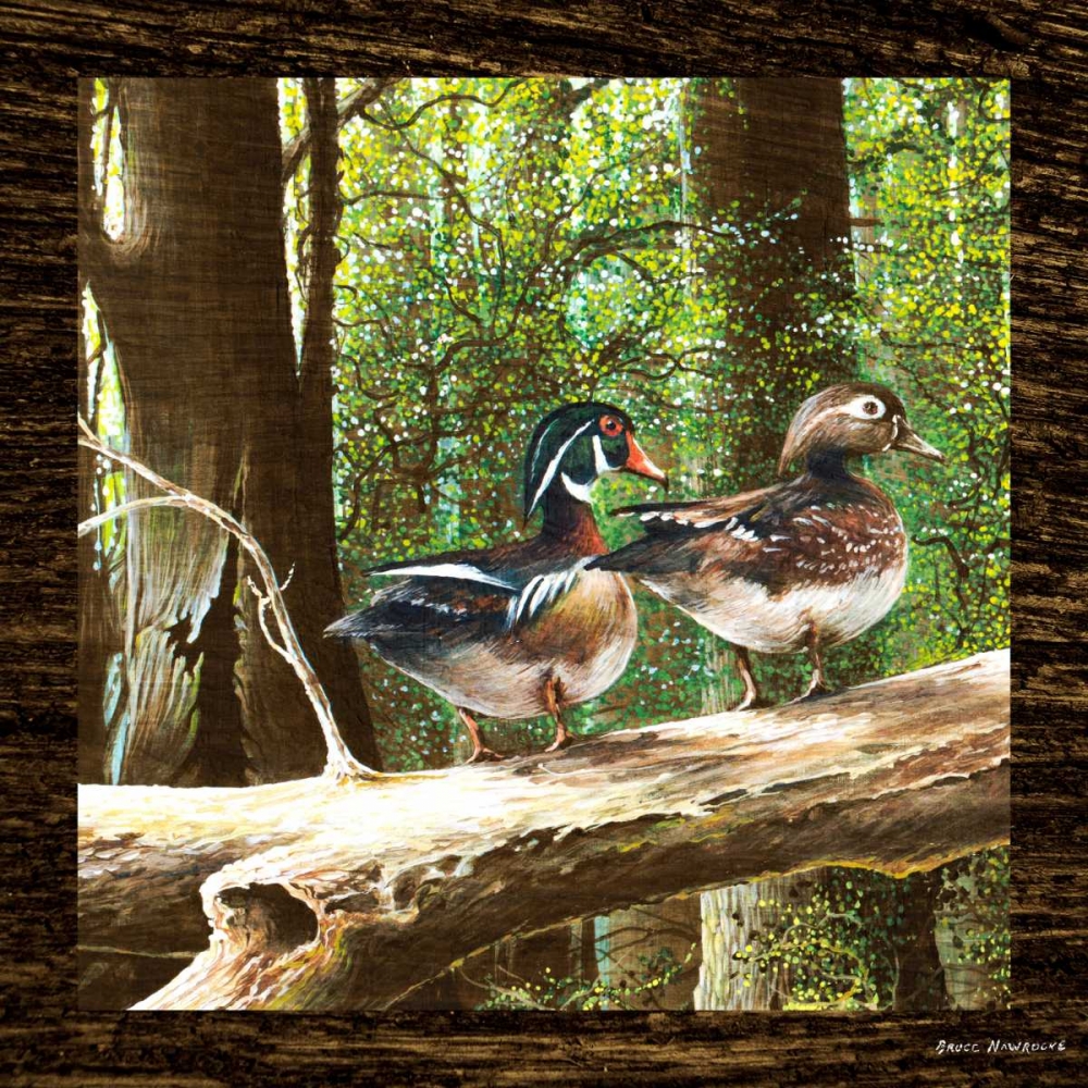 Pairing Up Square II art print by Bruce Nawrocke for $57.95 CAD