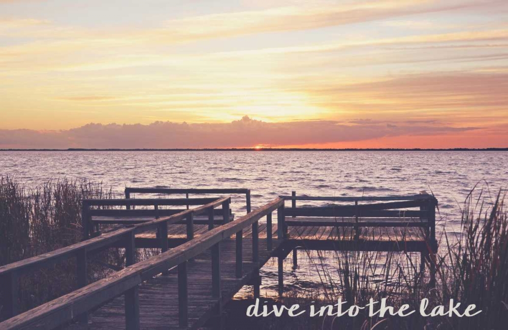 Dive Into The Lake art print by Bruce Nawrocke for $57.95 CAD