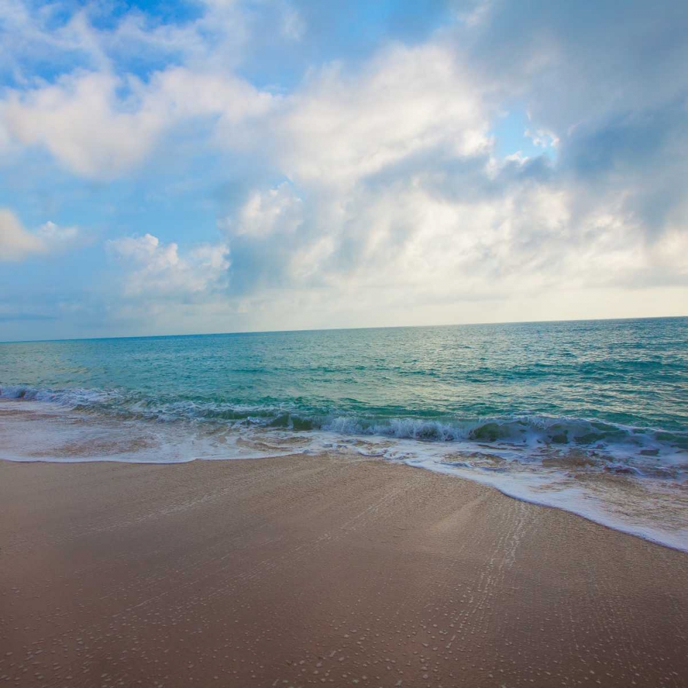 Cool Beach Square II art print by Susan Bryant for $57.95 CAD