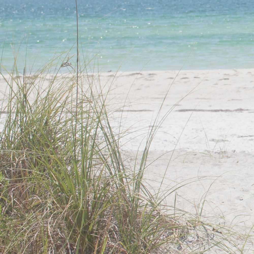 Ocean Air I art print by Susan Bryant for $57.95 CAD