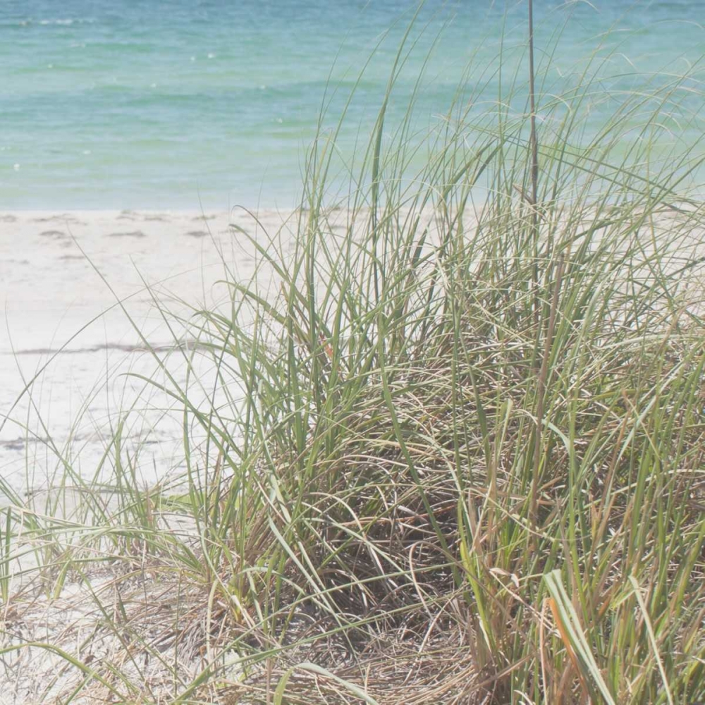 Ocean Air II art print by Susan Bryant for $57.95 CAD