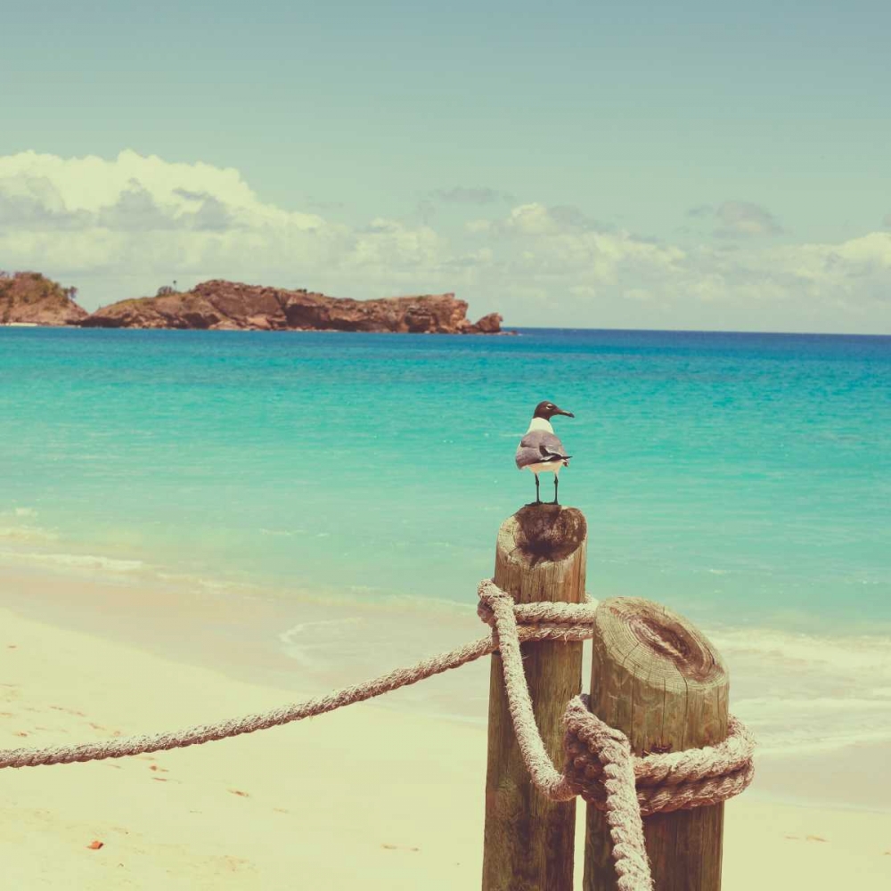 Island Vacation II art print by Susan Bryant for $57.95 CAD