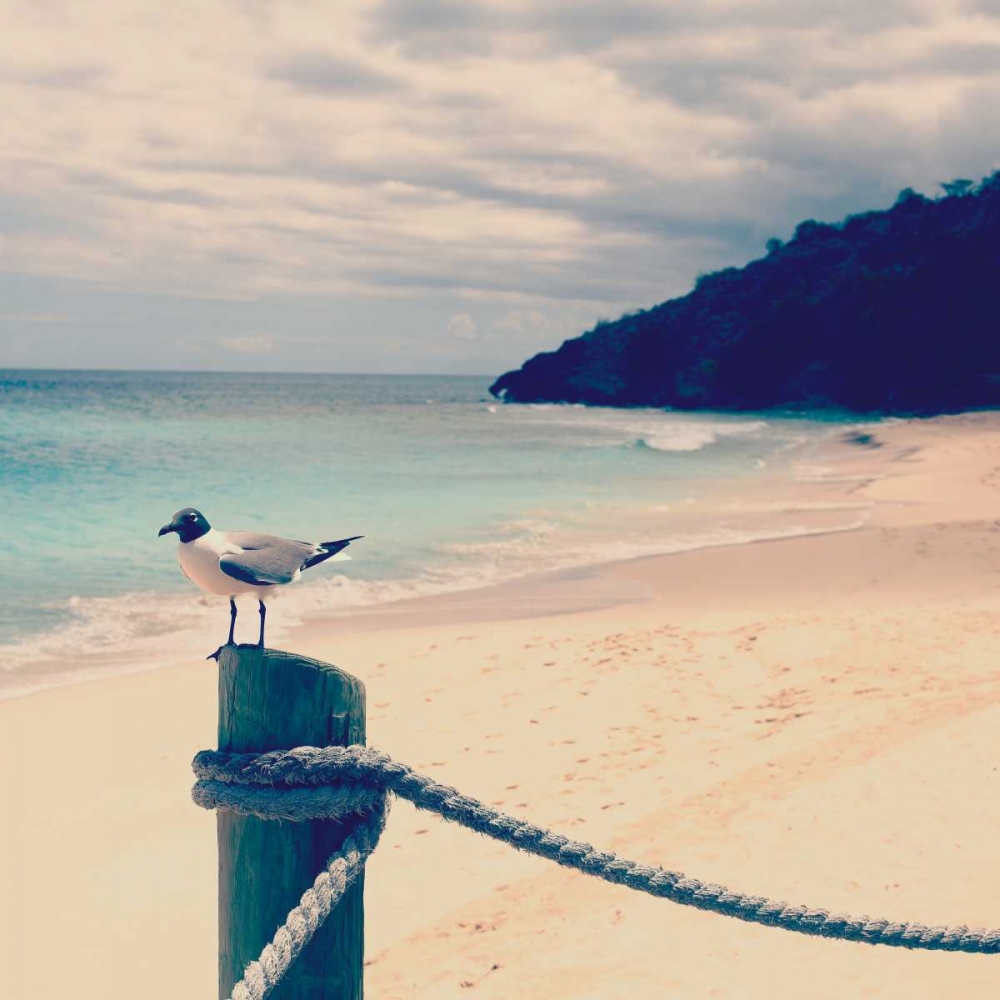 Island Vacation III art print by Susan Bryant for $57.95 CAD