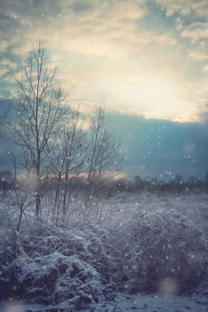 A Winters Day art print by Kelly Poynter for $57.95 CAD