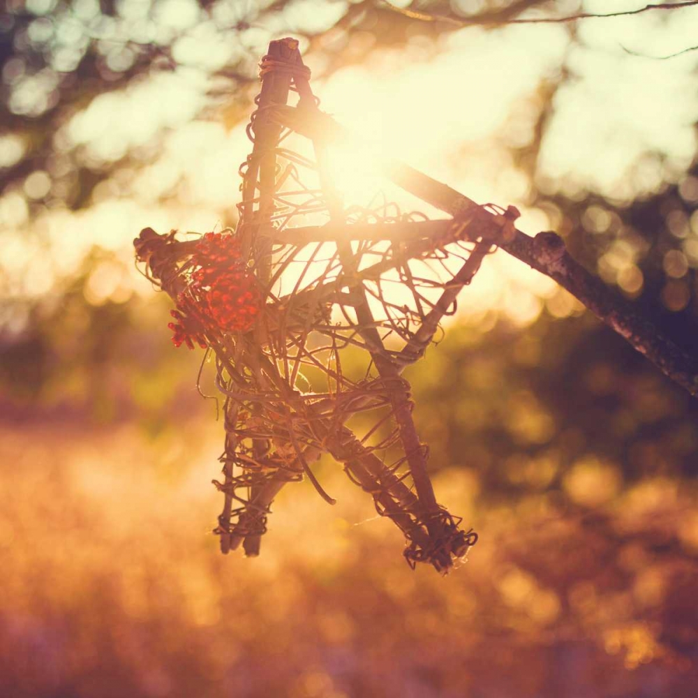 Morning Star art print by Kelly Poynter for $57.95 CAD