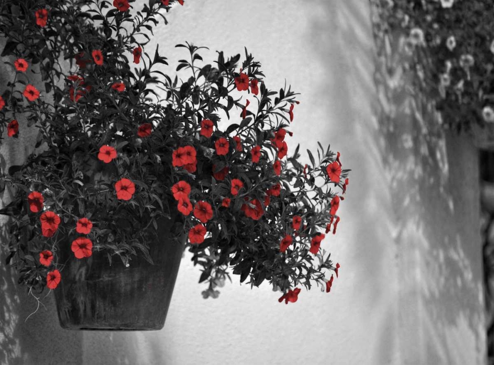 Garden Areas Border I art print by Gail Peck for $57.95 CAD