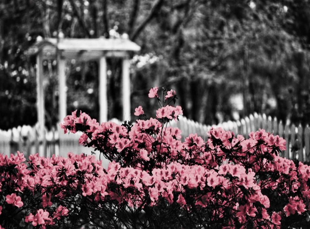 Garden Areas Border II art print by Gail Peck for $57.95 CAD
