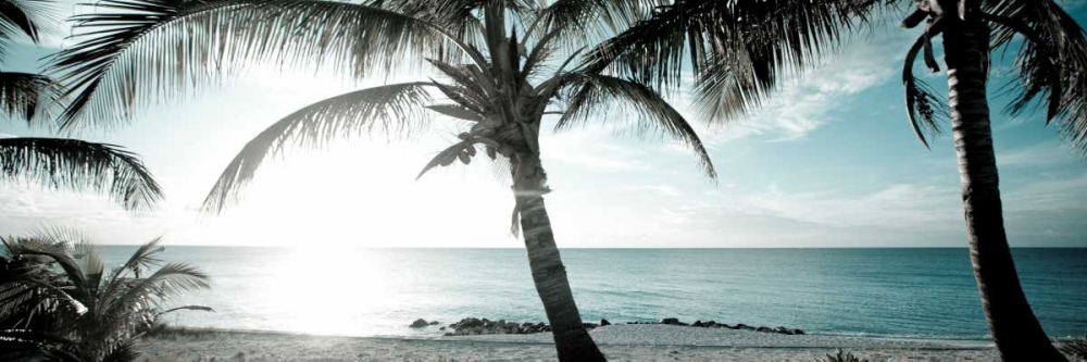 Cool Bimini I art print by Susan Bryant for $57.95 CAD