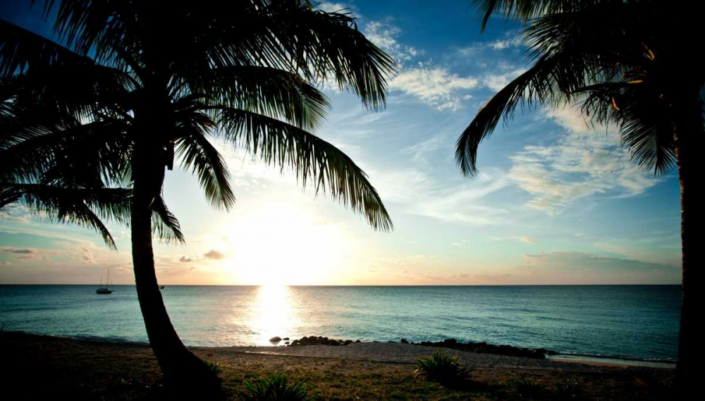 Sun Downer art print by Susan Bryant for $57.95 CAD
