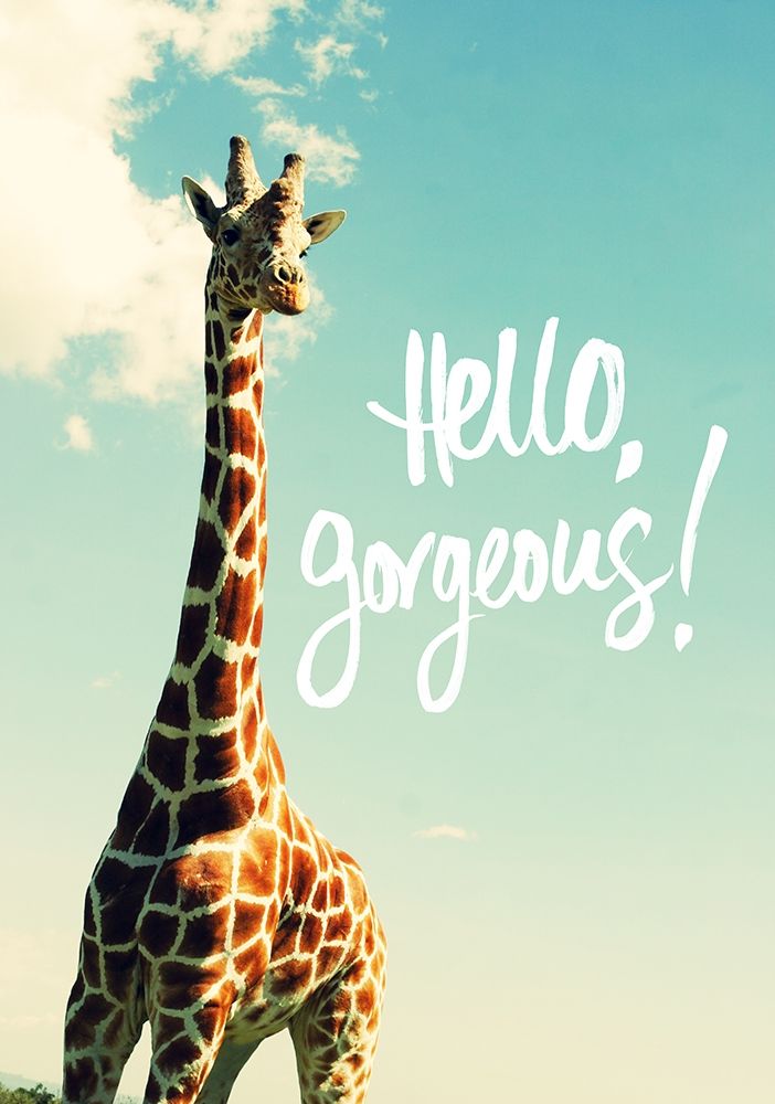 Hello Gorgeous Giraffe art print by Susan Bryant for $57.95 CAD