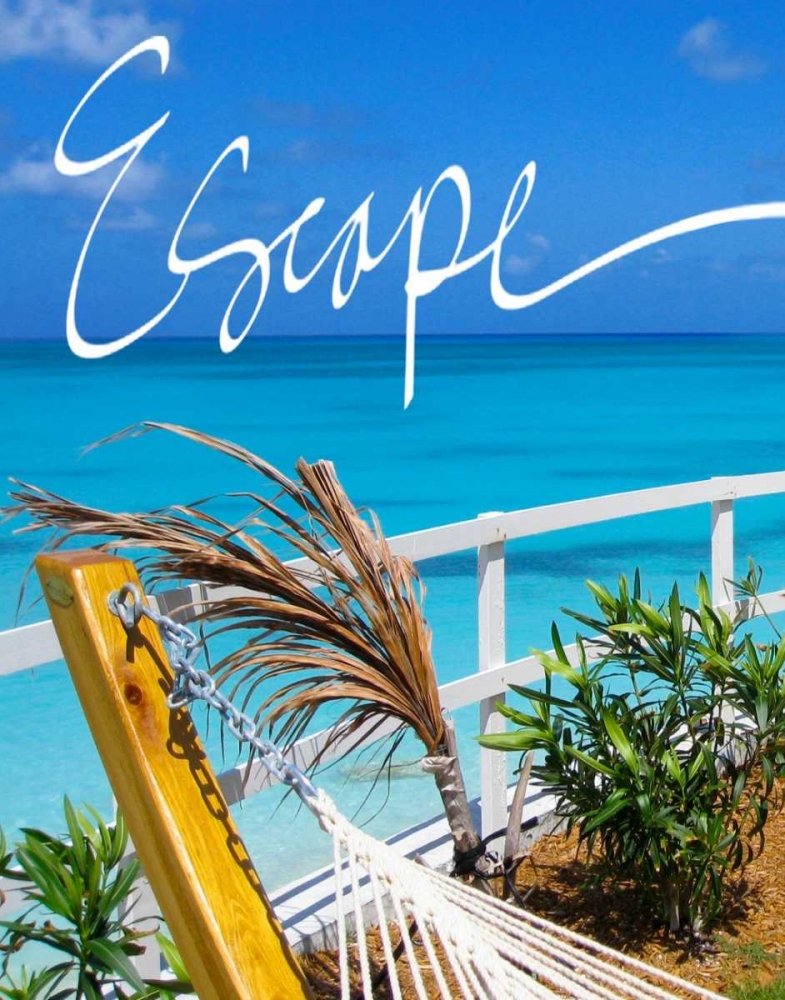 Escape art print by Susan Bryant for $57.95 CAD