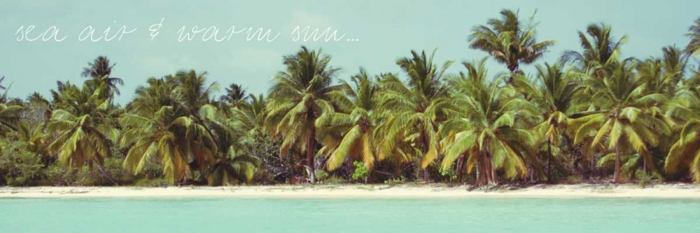 Palms Galore I art print by Acosta for $57.95 CAD