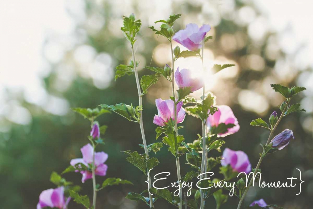 Enjoy Every Moment art print by Kelly Poynter for $57.95 CAD