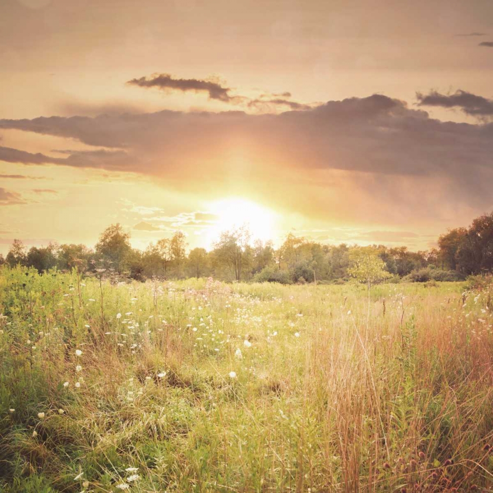 Field of Warmth Square art print by Kelly Poynter for $57.95 CAD