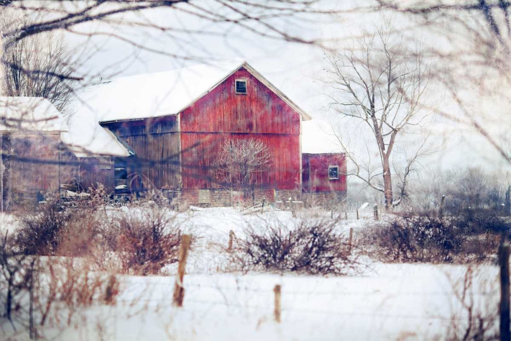 Winter Barn art print by Kelly Poynter for $57.95 CAD