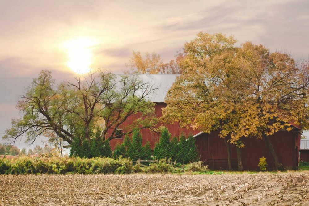 My Red Barn art print by Kelly Poynter for $57.95 CAD