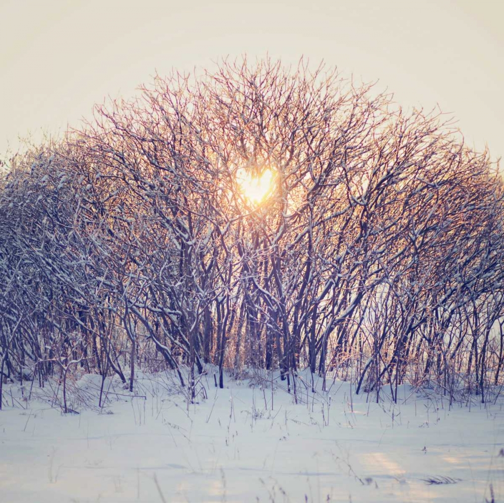 Lovely Sunrise art print by Kelly Poynter for $57.95 CAD