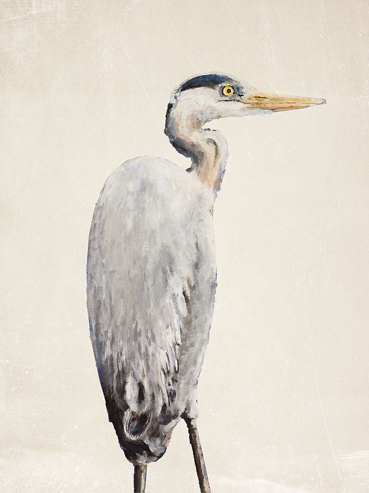 Grey Heron II art print by Walt Johnson for $57.95 CAD
