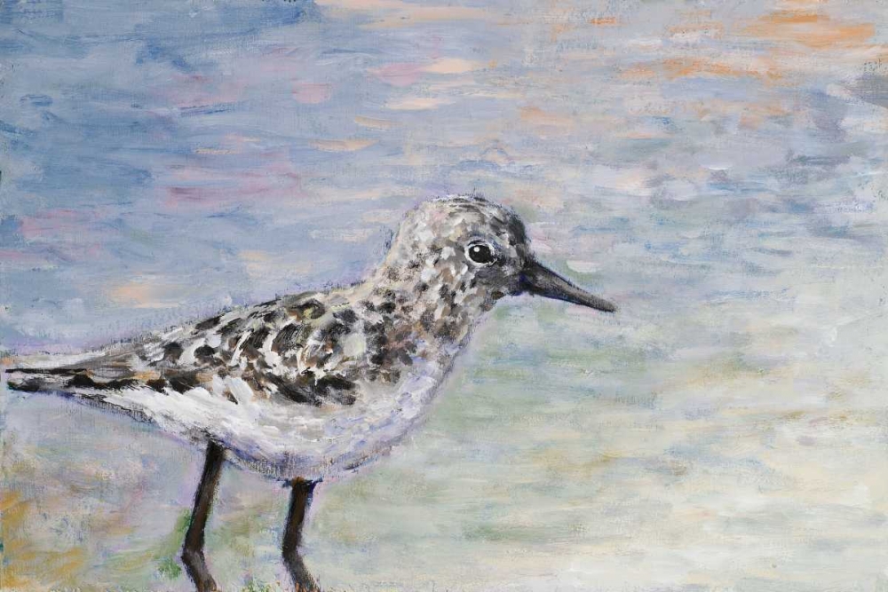 Sandpiper I art print by Walt Johnson for $57.95 CAD