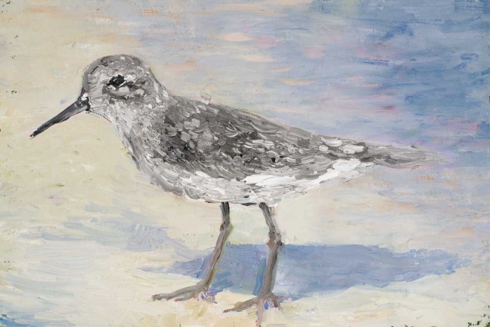 Sandpiper II art print by Walt Johnson for $57.95 CAD