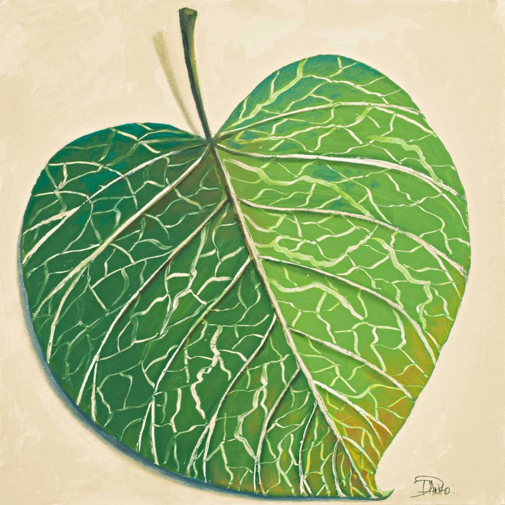 Veins of Green Leaf on Cream I art print by Patricia Pinto for $57.95 CAD