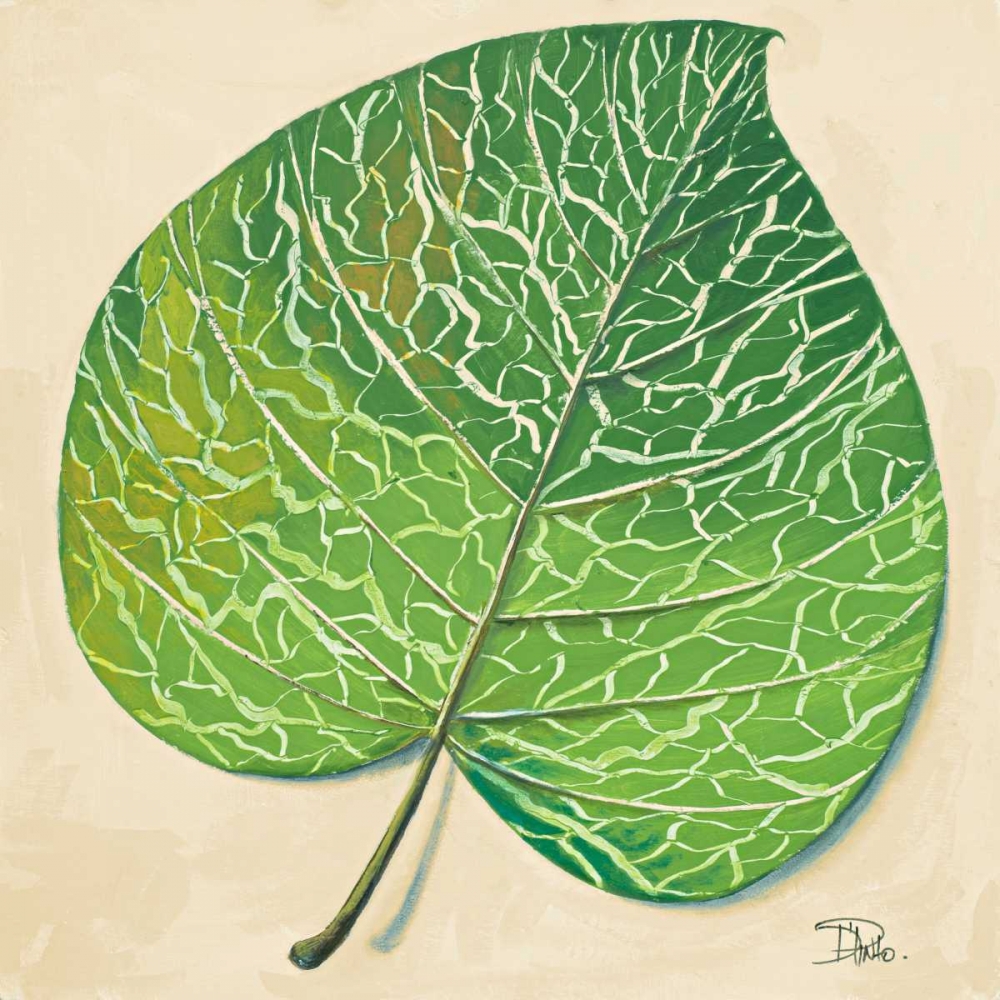 Veins of Green Leaf on Cream II art print by Patricia Pinto for $57.95 CAD