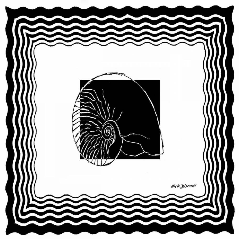 Bath Shells Square I art print by Nicholas Biscardi for $57.95 CAD