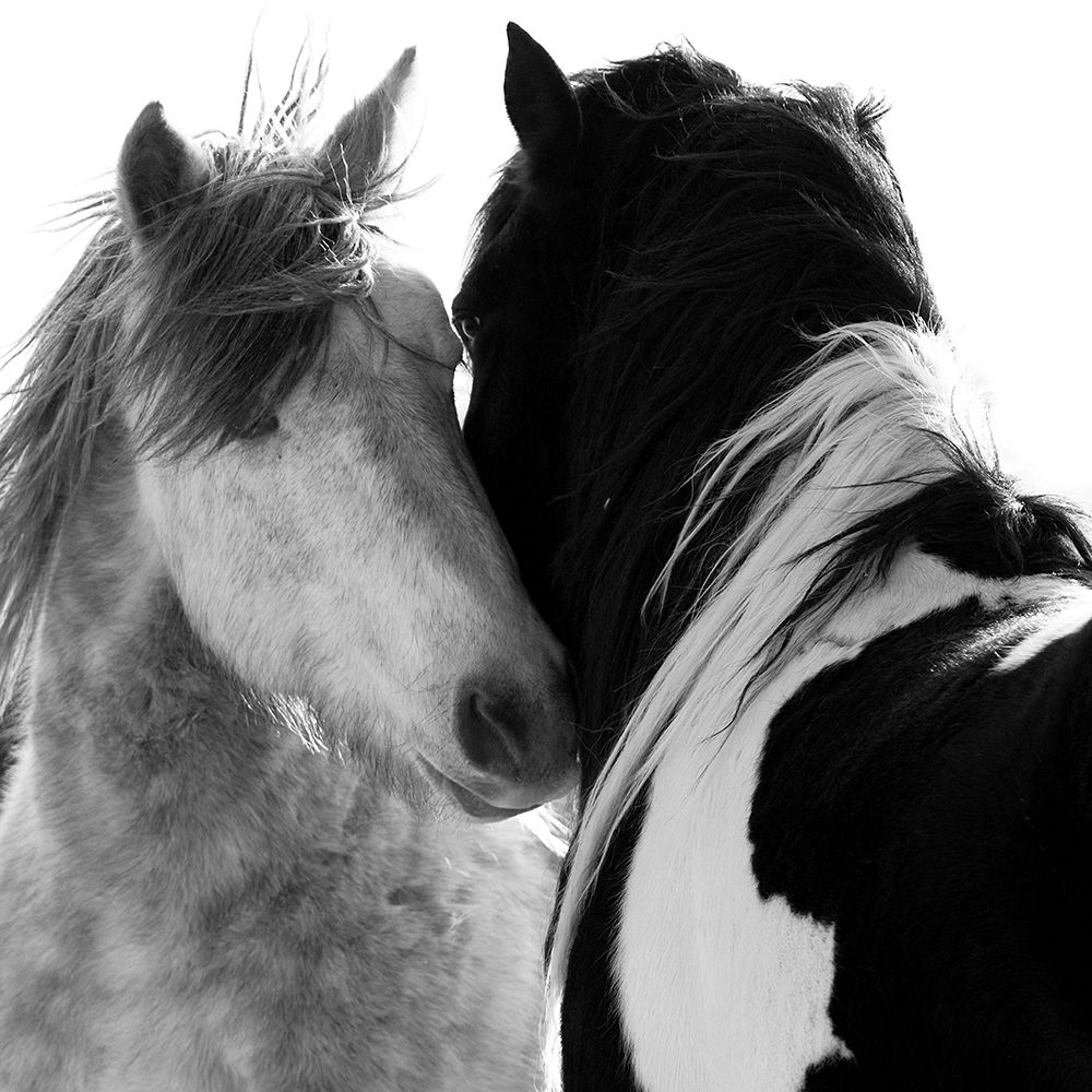 Loved Ones art print by Carol Walker for $57.95 CAD