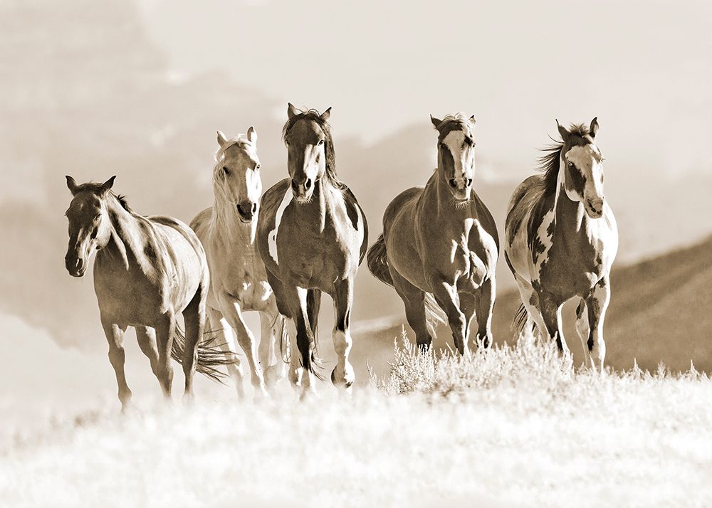 Mountain Run art print by Carol Walker for $57.95 CAD