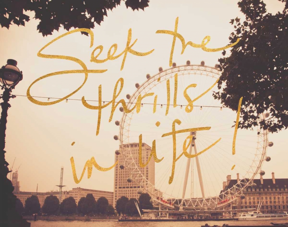 Seek Thrills In Life art print by Emily Navas for $57.95 CAD