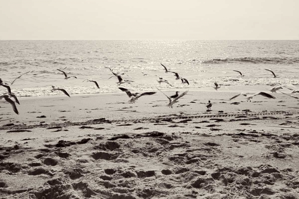 Dream of the Beach I art print by Susan Bryant for $57.95 CAD