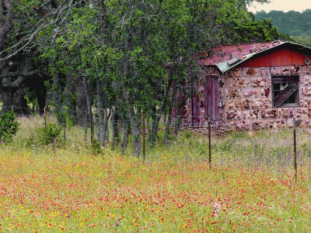 Country Meadow II art print by Gail Peck for $57.95 CAD