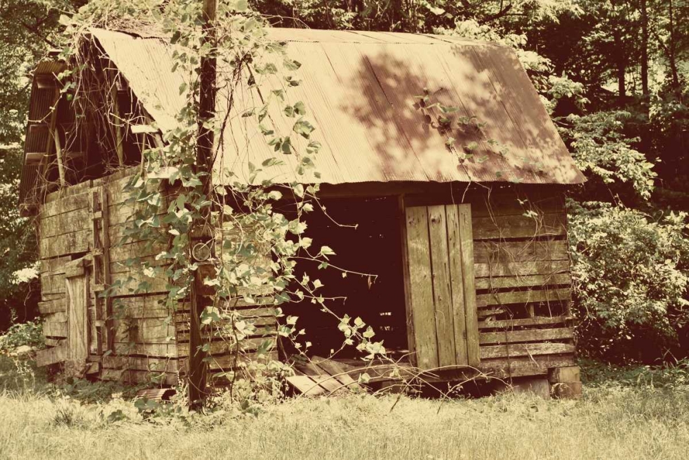 Homestead art print by Gail Peck for $57.95 CAD