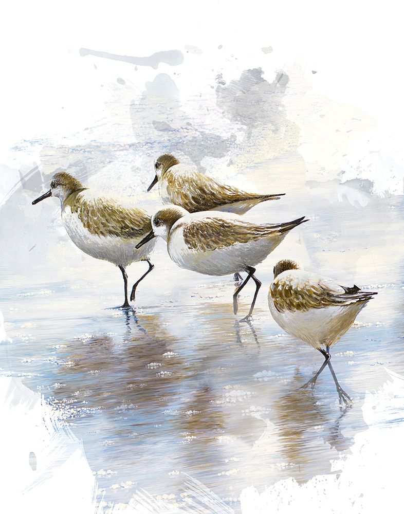 Sand Dancers I art print by Bruce Nawrocke for $57.95 CAD