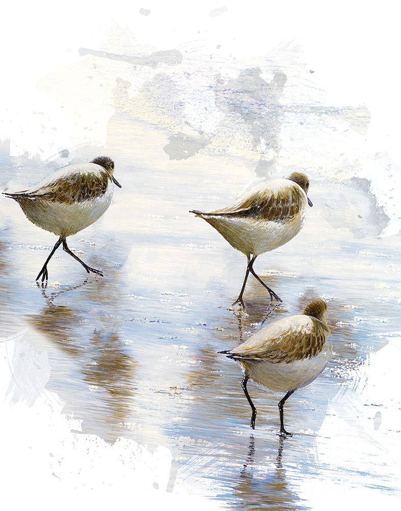 Sand Dancers II art print by Bruce Nawrocke for $57.95 CAD