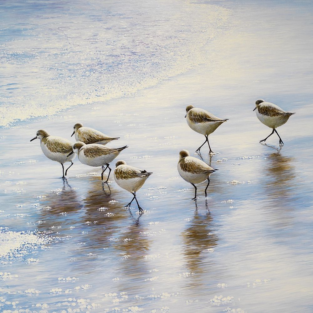 Sand Dancers Square art print by Bruce Nawrocke for $57.95 CAD