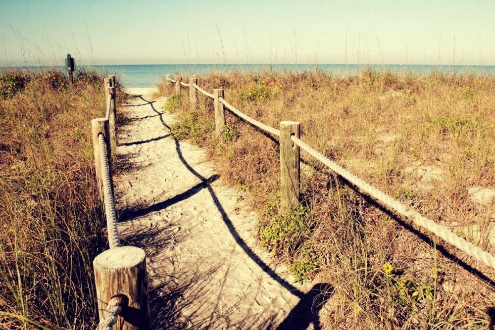 Sandy Path I art print by Gail Peck for $57.95 CAD