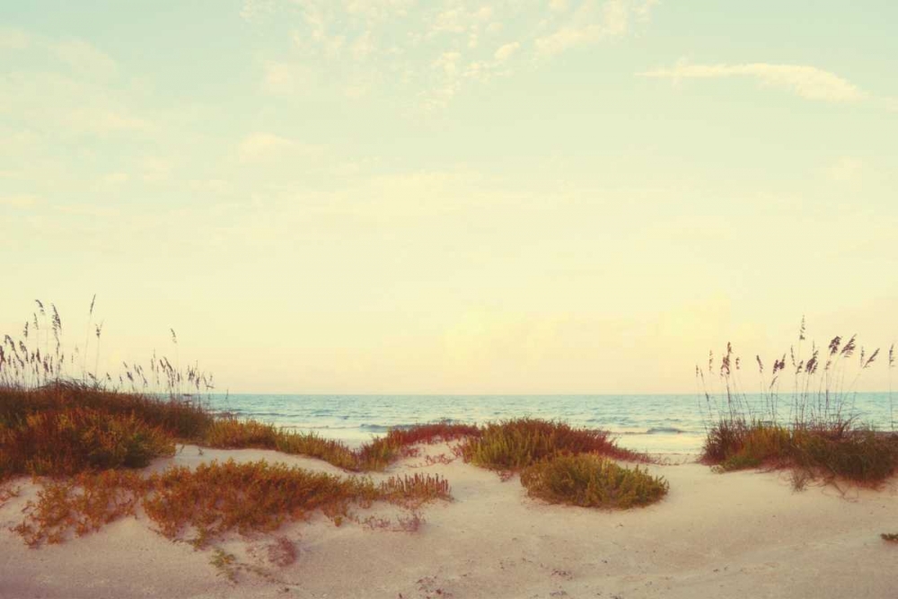 Sandy Path II art print by Gail Peck for $57.95 CAD