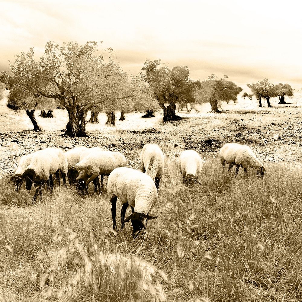Out In The Fields art print by Ynon Mabat for $57.95 CAD