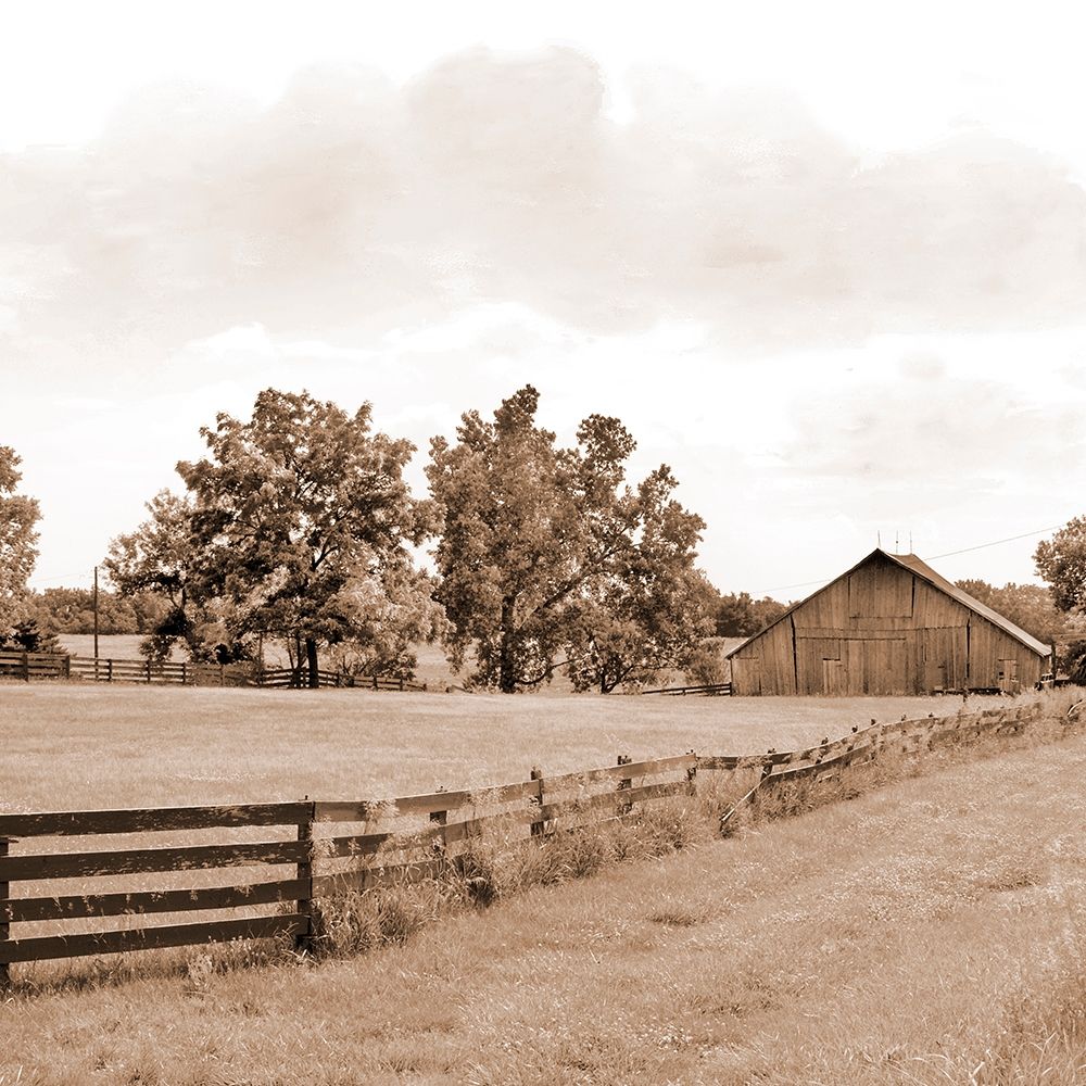 Simple Farm Life art print by Ynon Mabat for $57.95 CAD