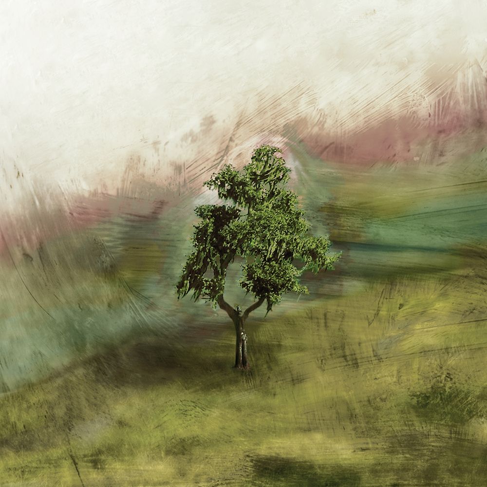 Lone Oak art print by Ynon Mabat for $57.95 CAD