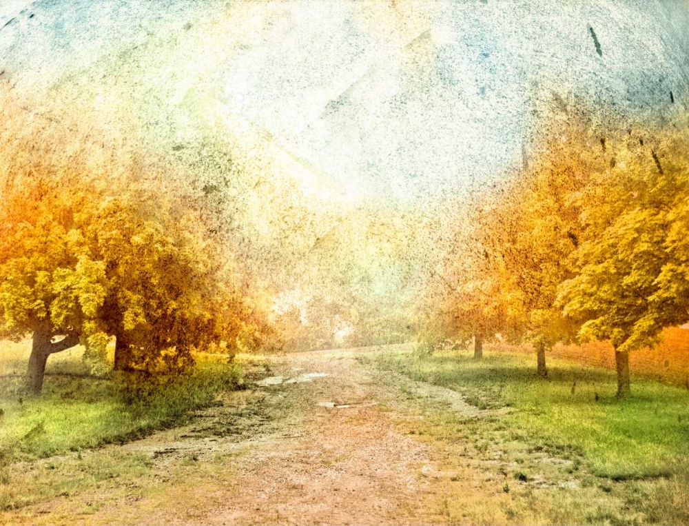 Oak Path art print by Ynon Mabat for $57.95 CAD