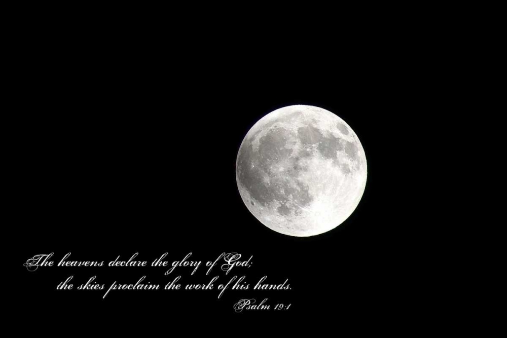 Full Moon art print by Gail Peck for $57.95 CAD