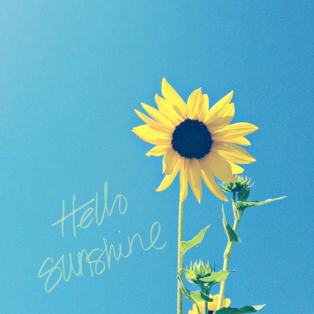Hello Sunshine art print by Lisa Hill Saghini for $57.95 CAD