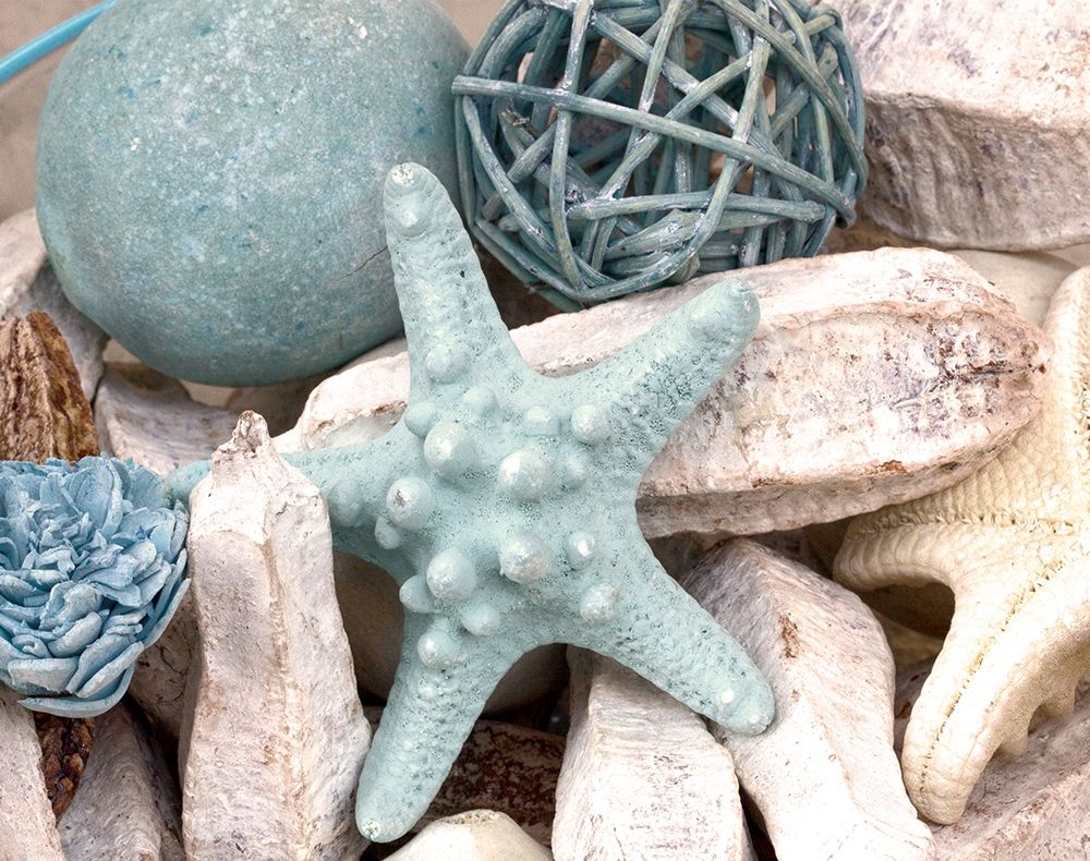 Bundle of Shells I art print by Susan Bryant for $57.95 CAD